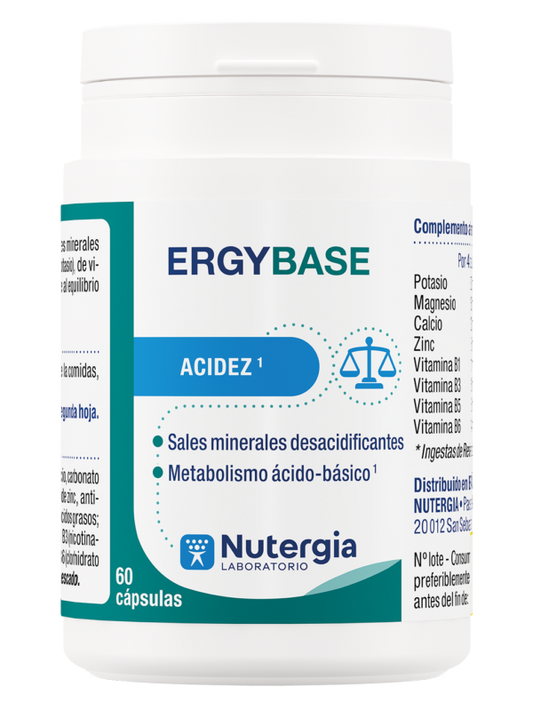 ErgyBase