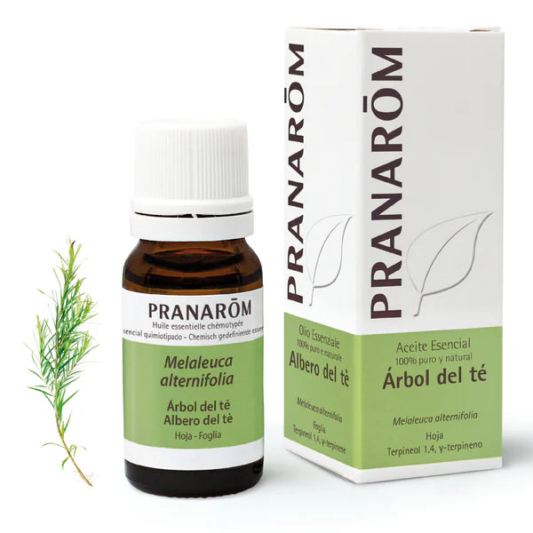 Aceite Esencial Árbol del Té 10 ml
