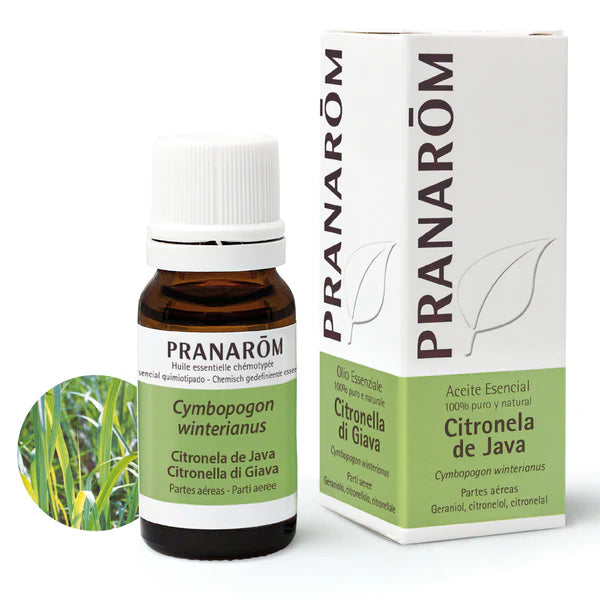 Aceite Esencial Citronela de Java 10 ml