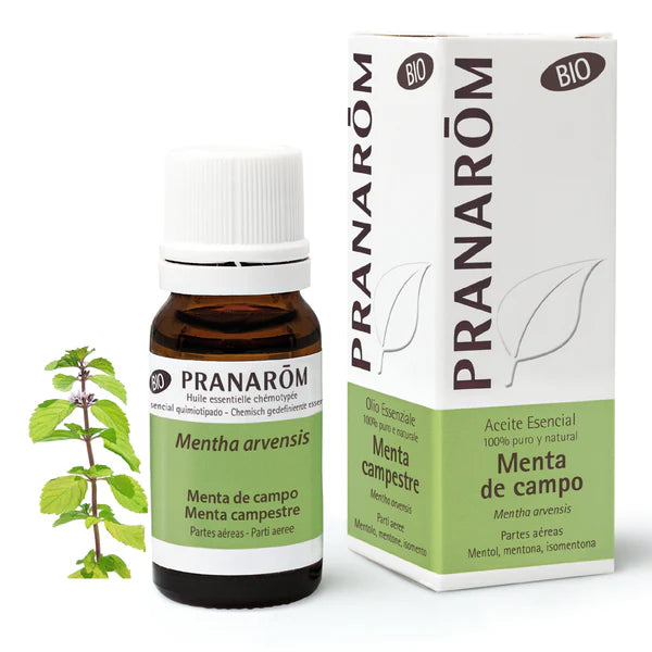 Aceite Esencial Menta de Campo 10 ml Bio