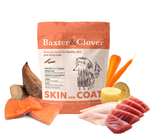Baxter&Clover Natural Snack Skin and Coat