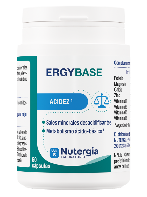 ErgyBase