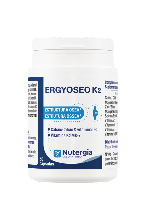 Ergyoseo K2